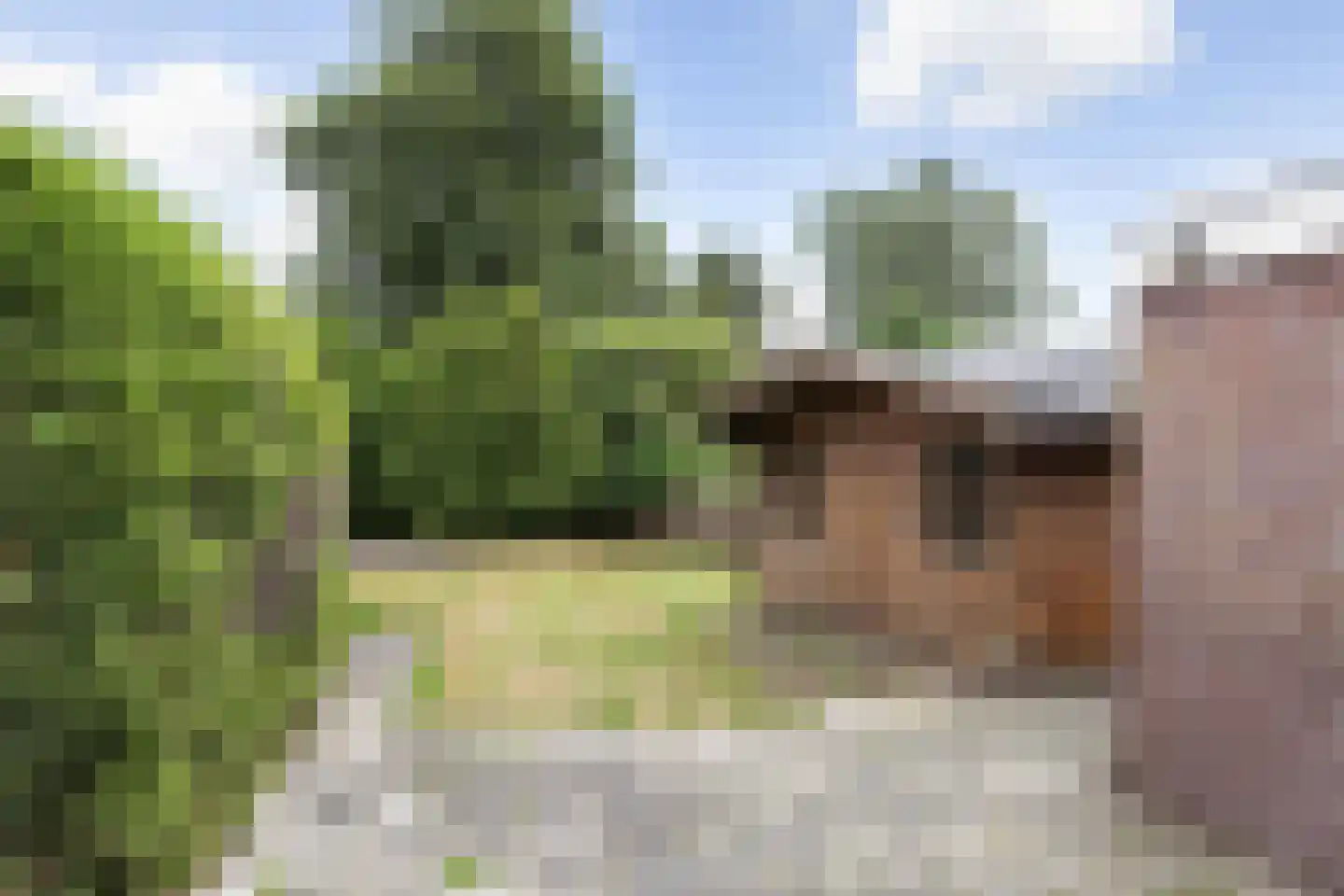 Zwarte Weg 24 Vegelinsoord thumbnail 14