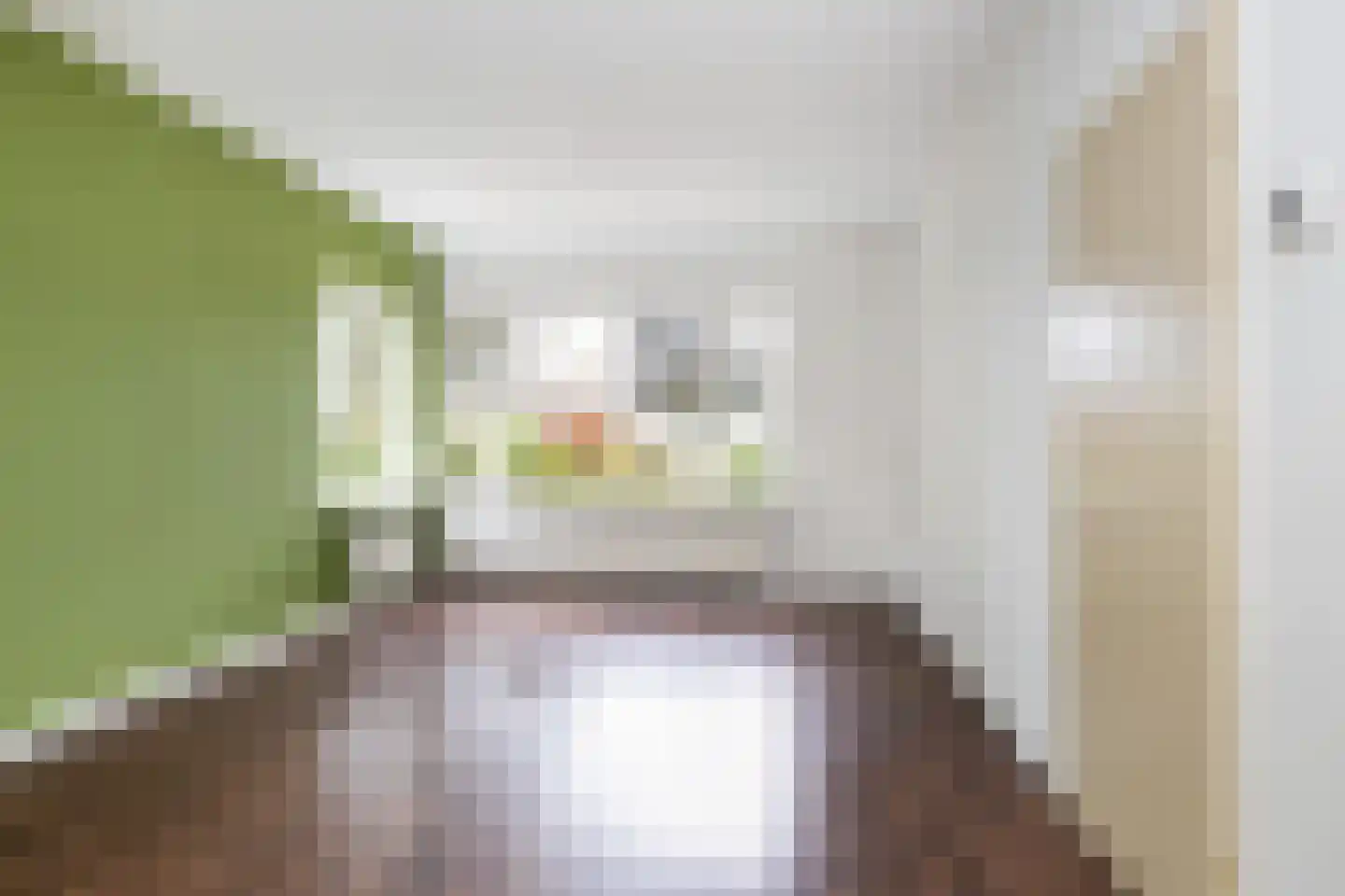 Zwarte Weg 24 Vegelinsoord thumbnail 4