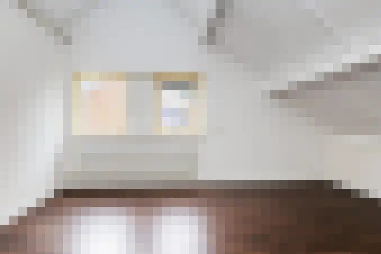 Zwarte Weg 24 Vegelinsoord thumbnail 9