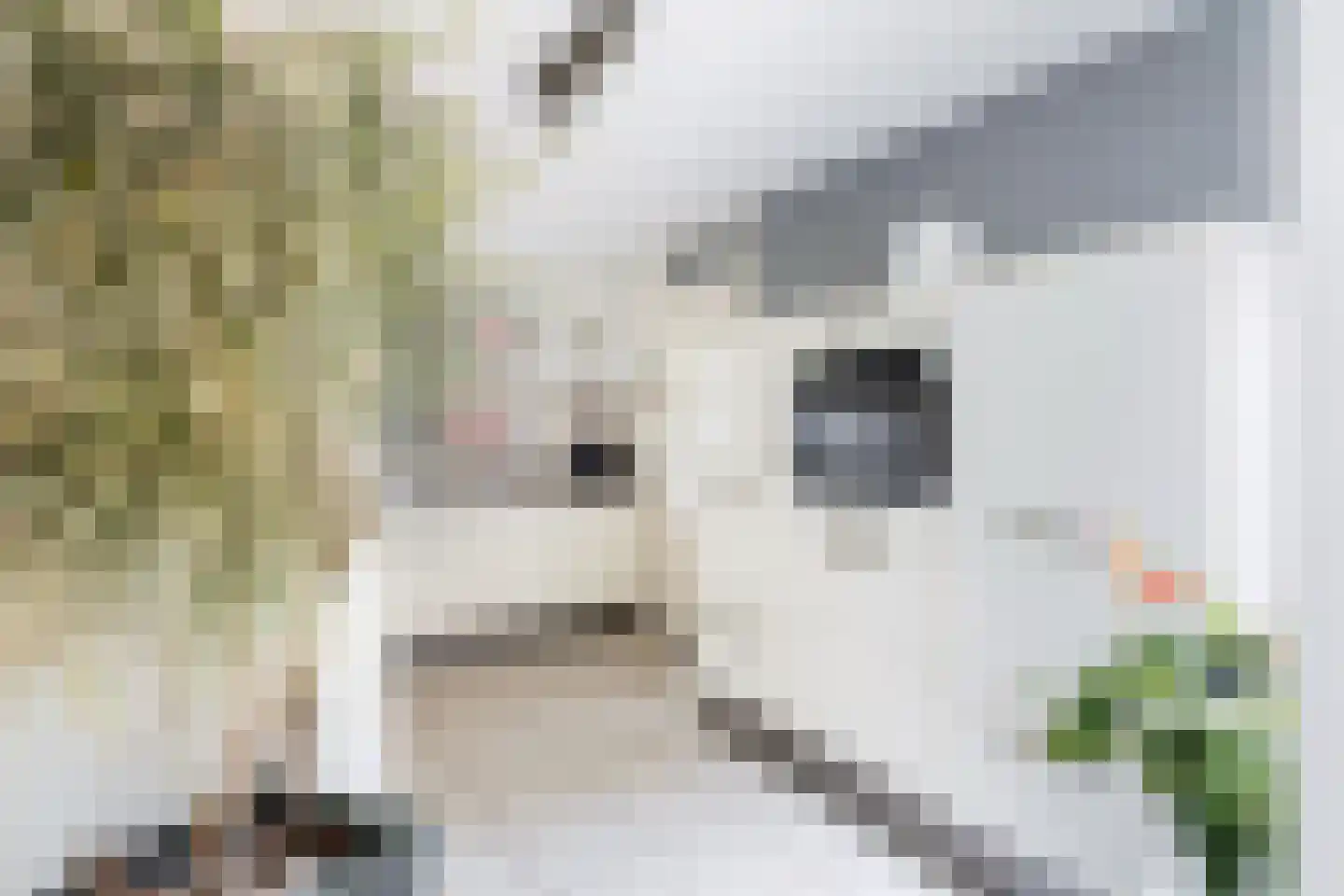 Zwarte Woud 113 Utrecht thumbnail 16
