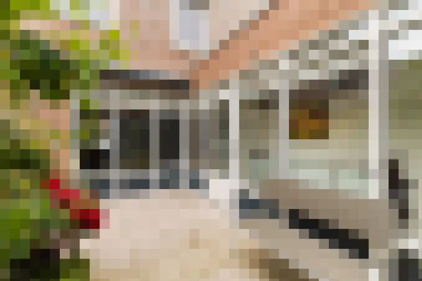 Zwarte Woud 113 Utrecht thumbnail 21