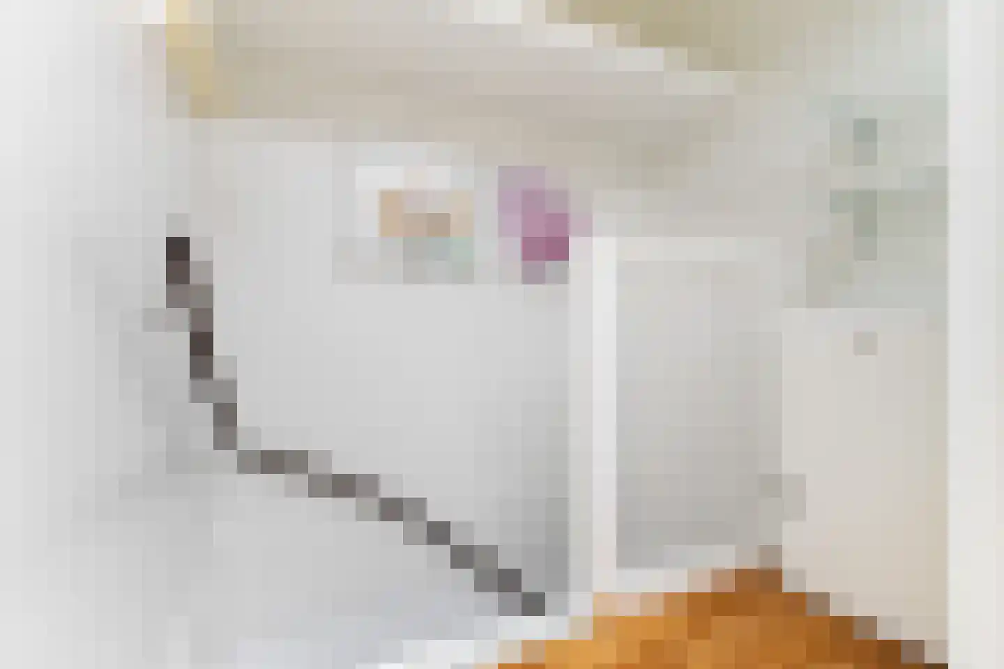 Zwarte Woud 113 Utrecht thumbnail 36