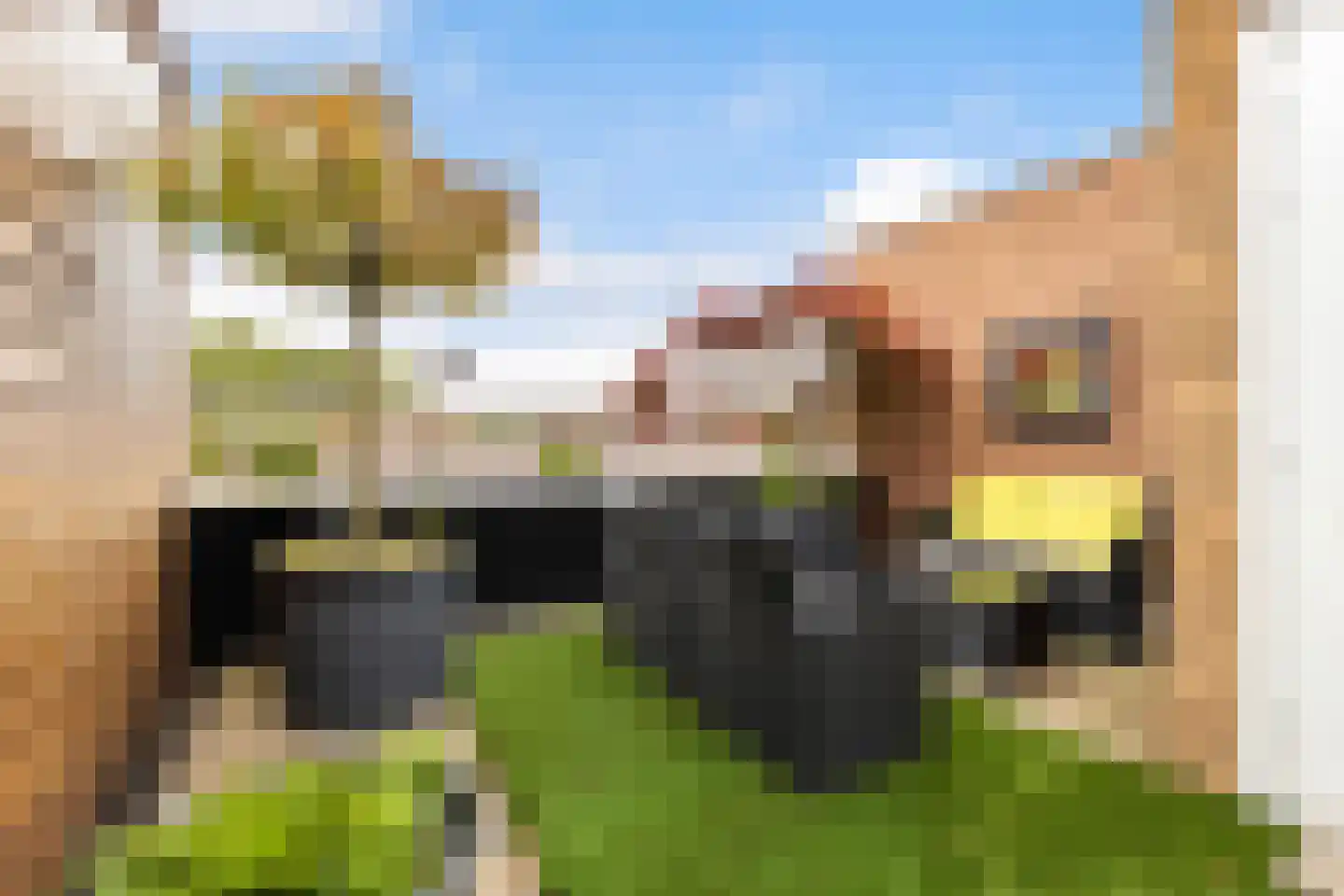 Zwarte Woud 113 Utrecht thumbnail 38
