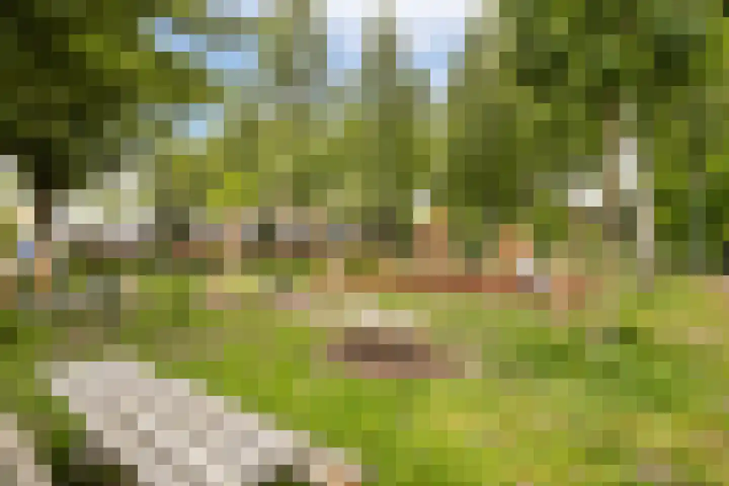 Zwarte Woud 113 Utrecht thumbnail 50
