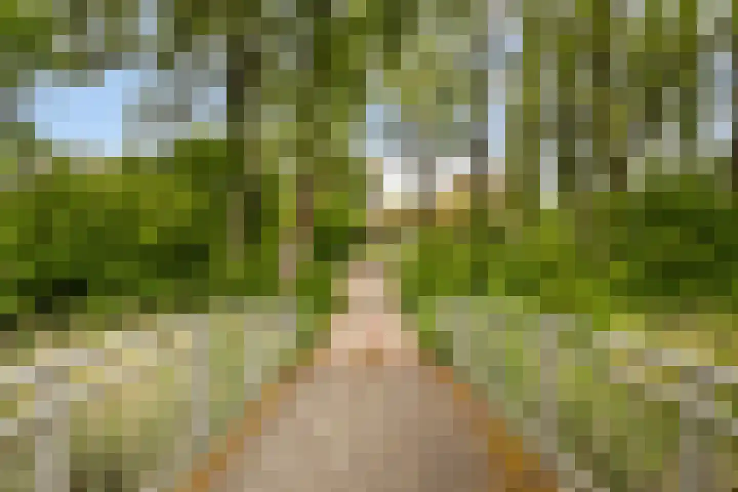 Zwarte Woud 113 Utrecht thumbnail 51