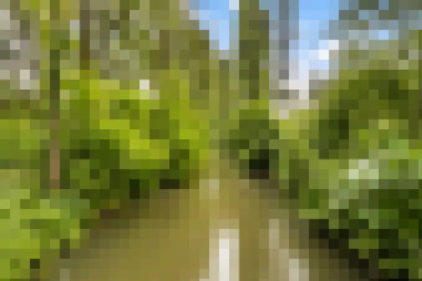Zwarte Woud 113 Utrecht thumbnail 52
