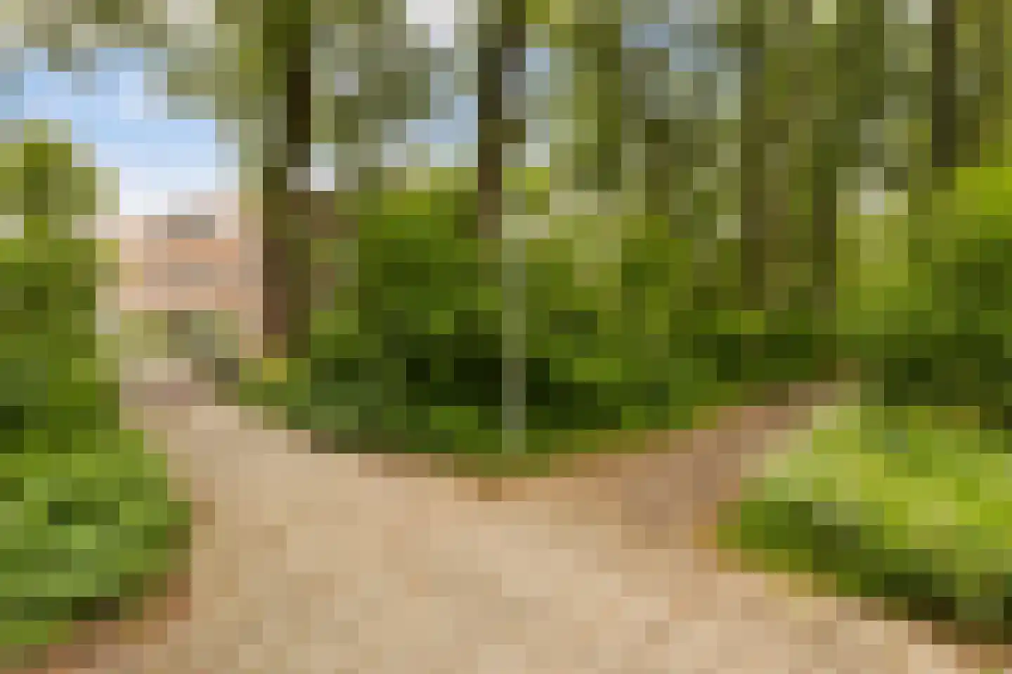 Zwarte Woud 113 Utrecht thumbnail 53