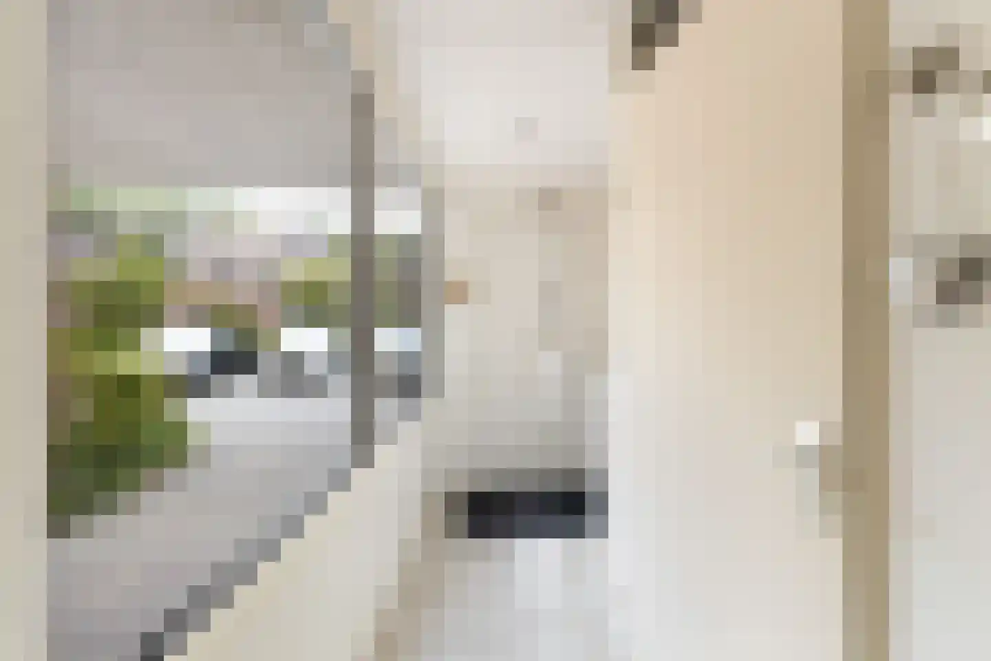 Zwarte Woud 113 Utrecht thumbnail 7