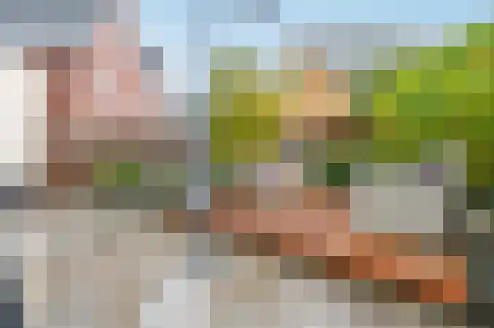 Zwarte Zee 24 Amersfoort thumbnail 33