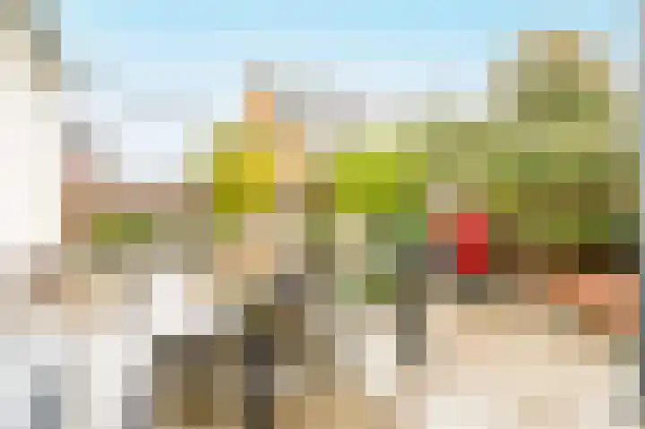 Zwarte Zee 24 Amersfoort thumbnail 36