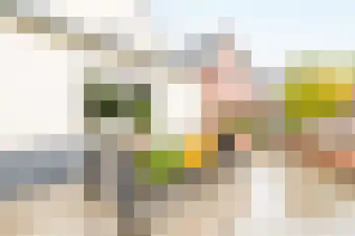 Zwarte Zee 24 Amersfoort thumbnail 37