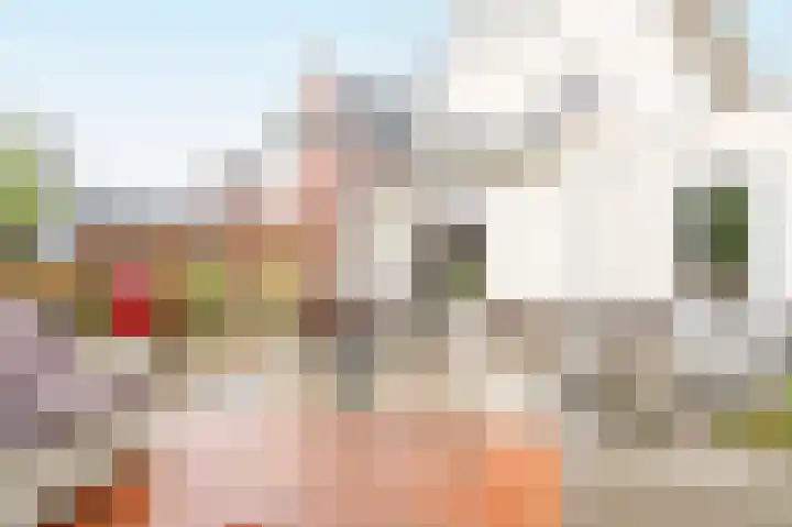 Zwarte Zee 24 Amersfoort thumbnail 38