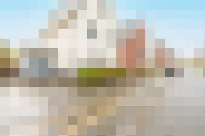 Zwarte Zee 24 Amersfoort thumbnail 43