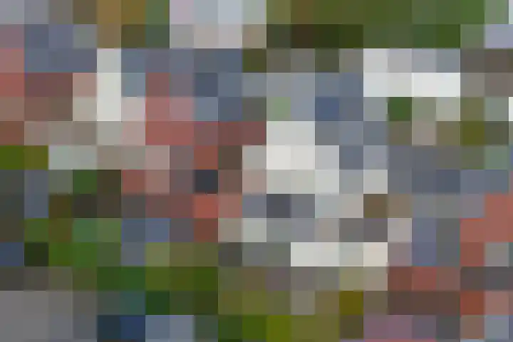 Zwarte Zee 24 Amersfoort thumbnail 45