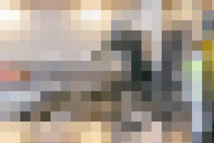 Zwarte Zee 52 Amersfoort thumbnail 13