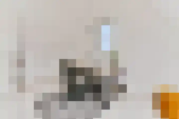 Zwarte Zee 52 Amersfoort thumbnail 35