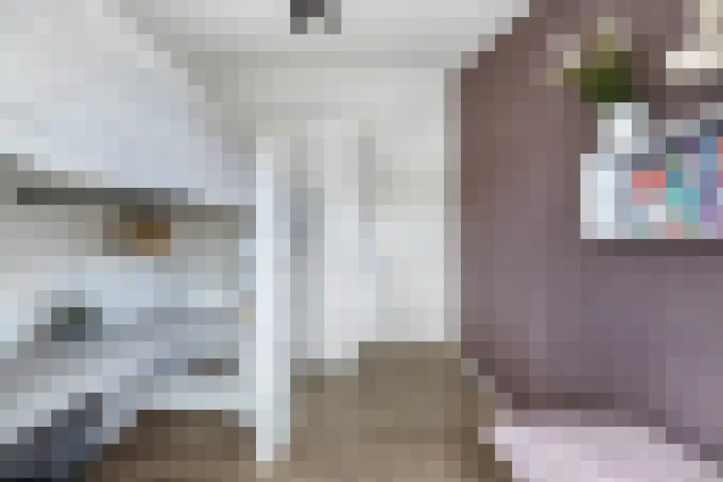 Zwarte Zeestraat 6 Emmeloord thumbnail 32