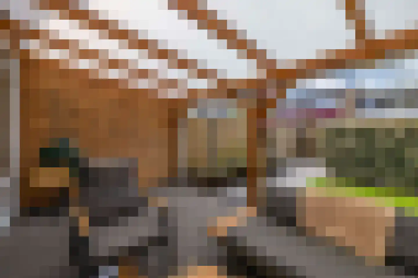 Zwarte Zeestraat 6 Emmeloord thumbnail 39