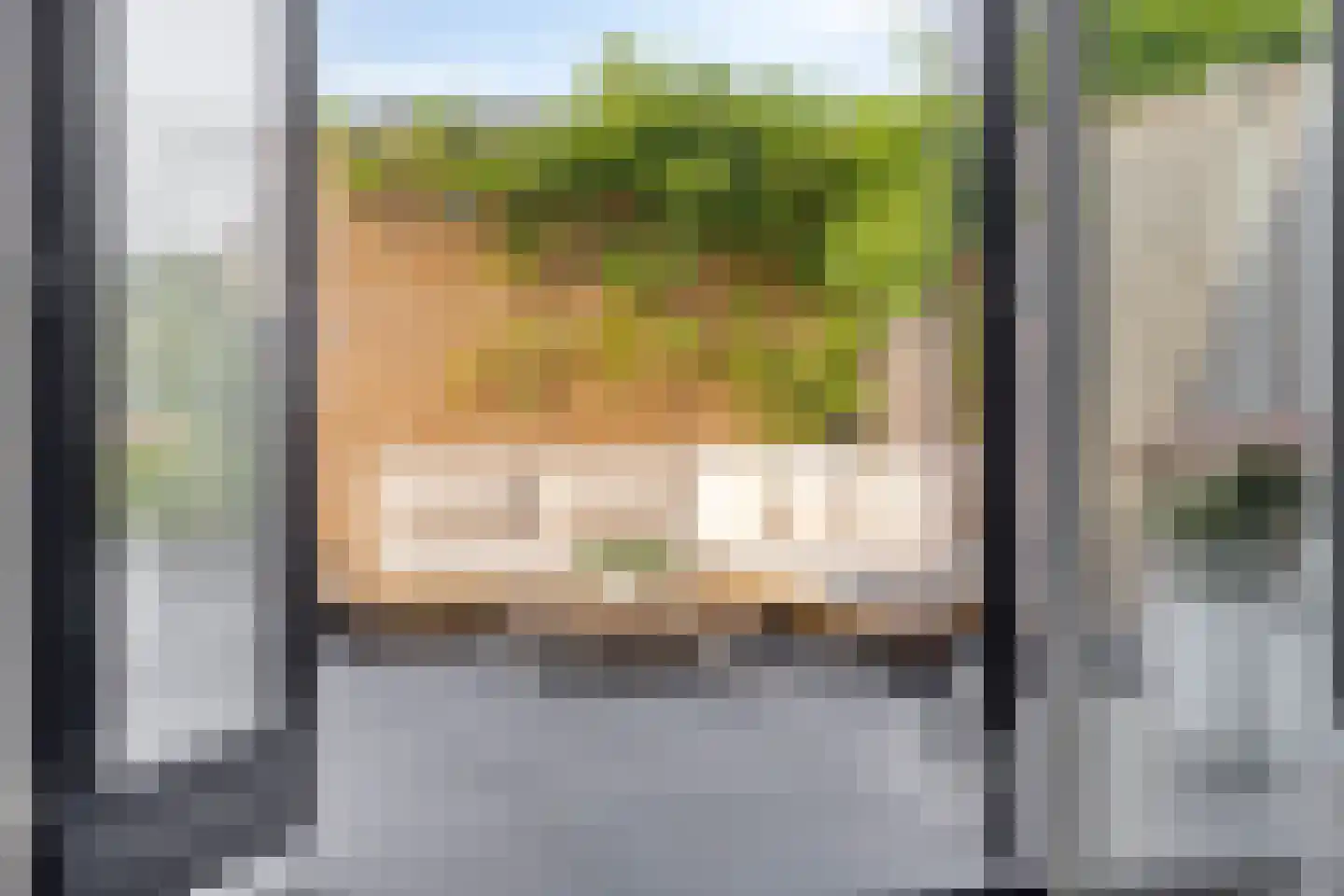 Zwartebes 14 Borne thumbnail 14