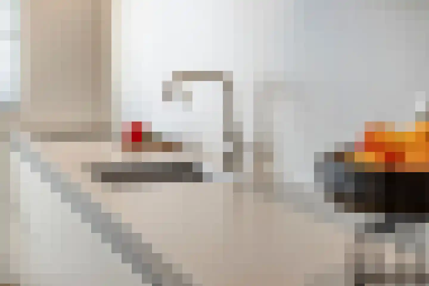 Zwartebes 14 Borne thumbnail 20