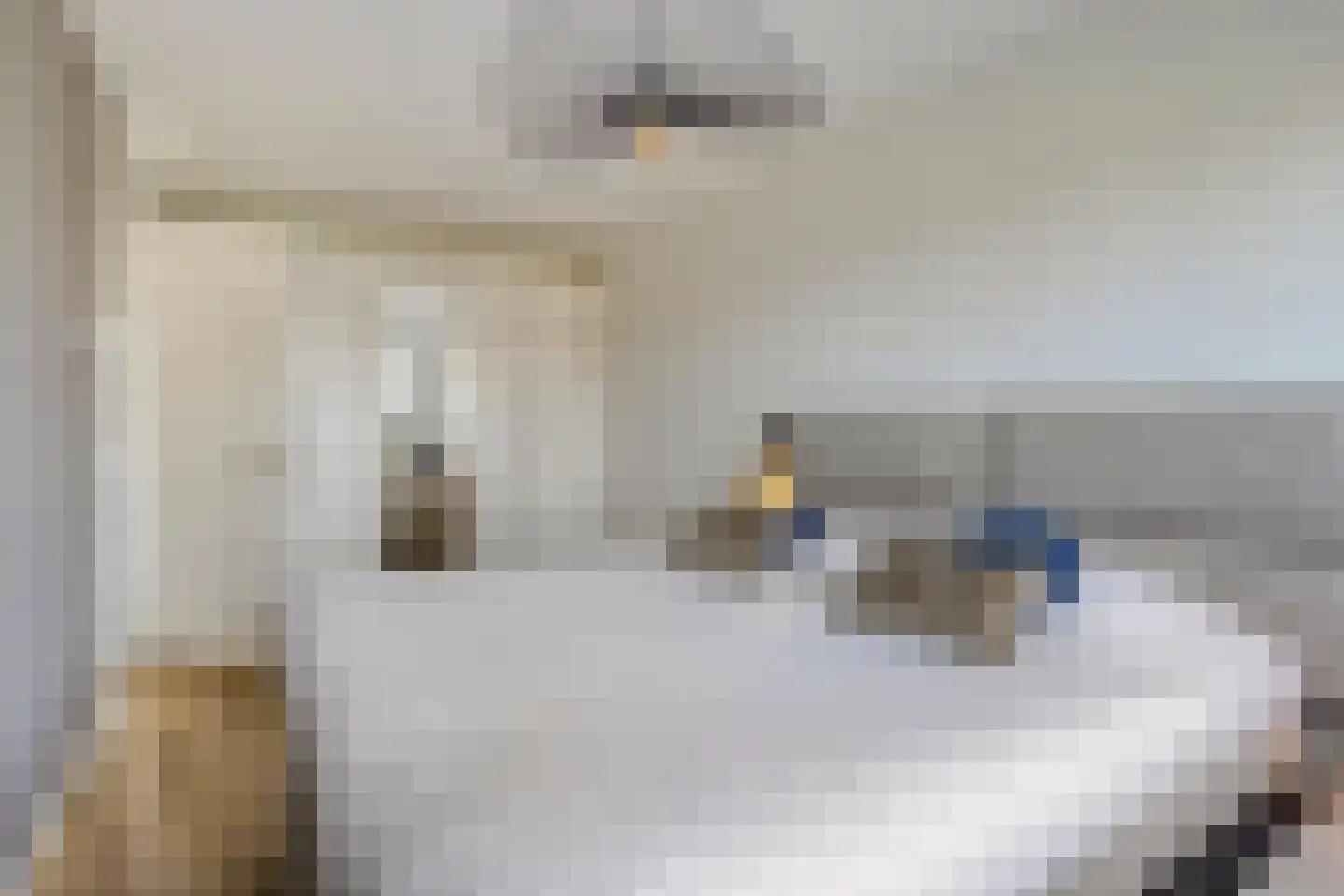 Zwartebes 14 Borne thumbnail 23