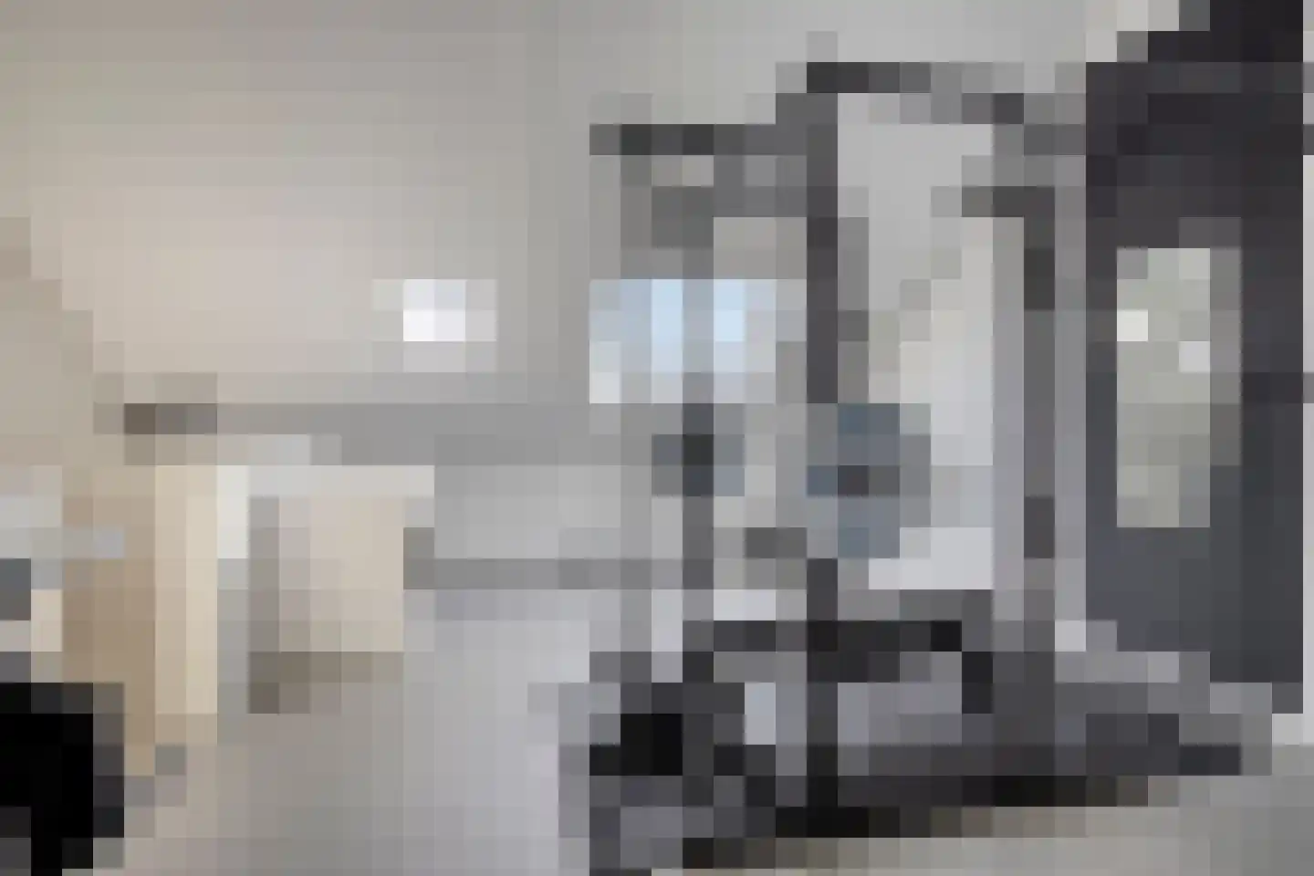 Zwartebes 14 Borne thumbnail 30