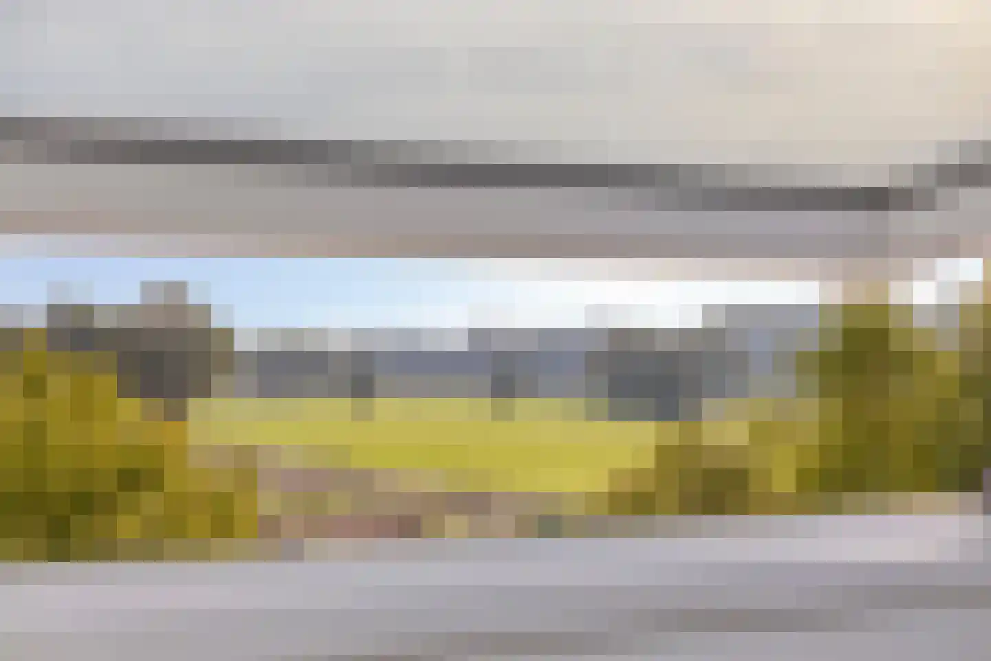Zwartebes 14 Borne thumbnail 31