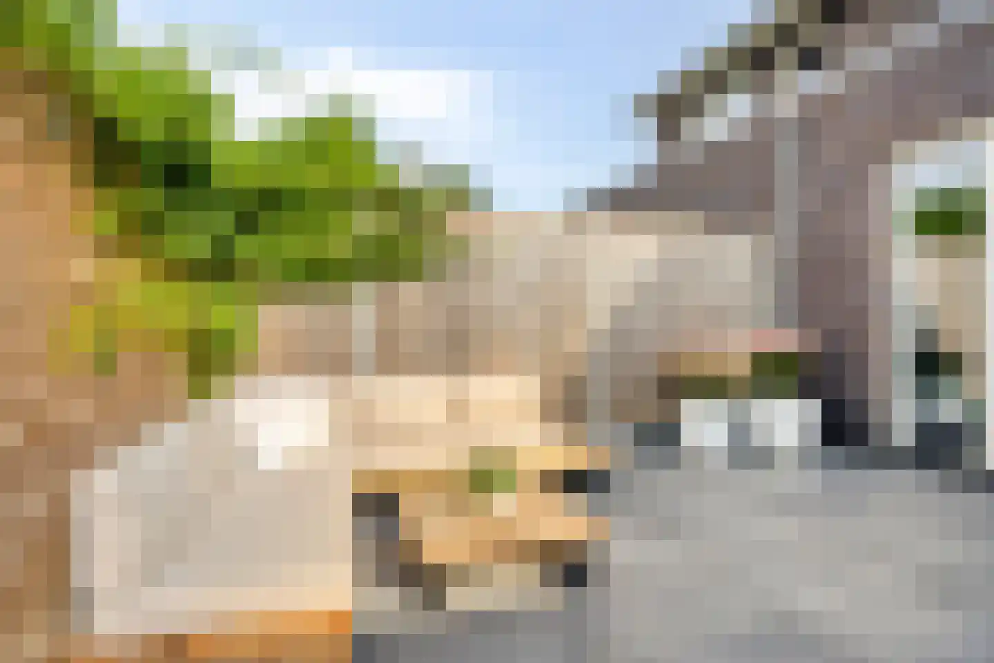 Zwartebes 14 Borne thumbnail 33