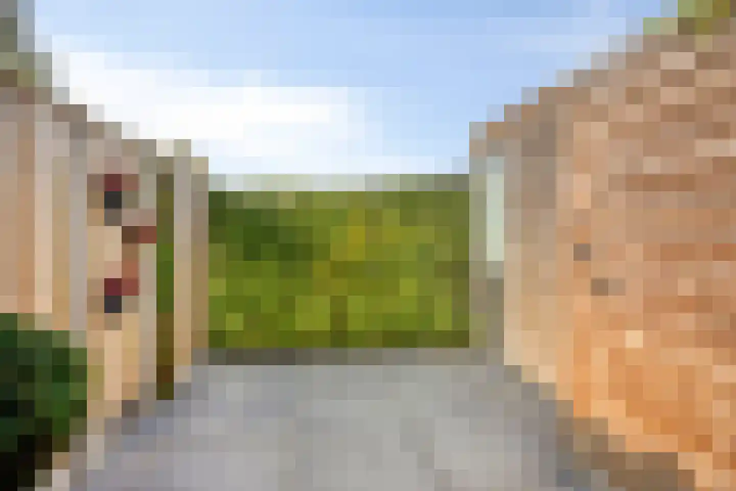 Zwartebes 14 Borne thumbnail 35