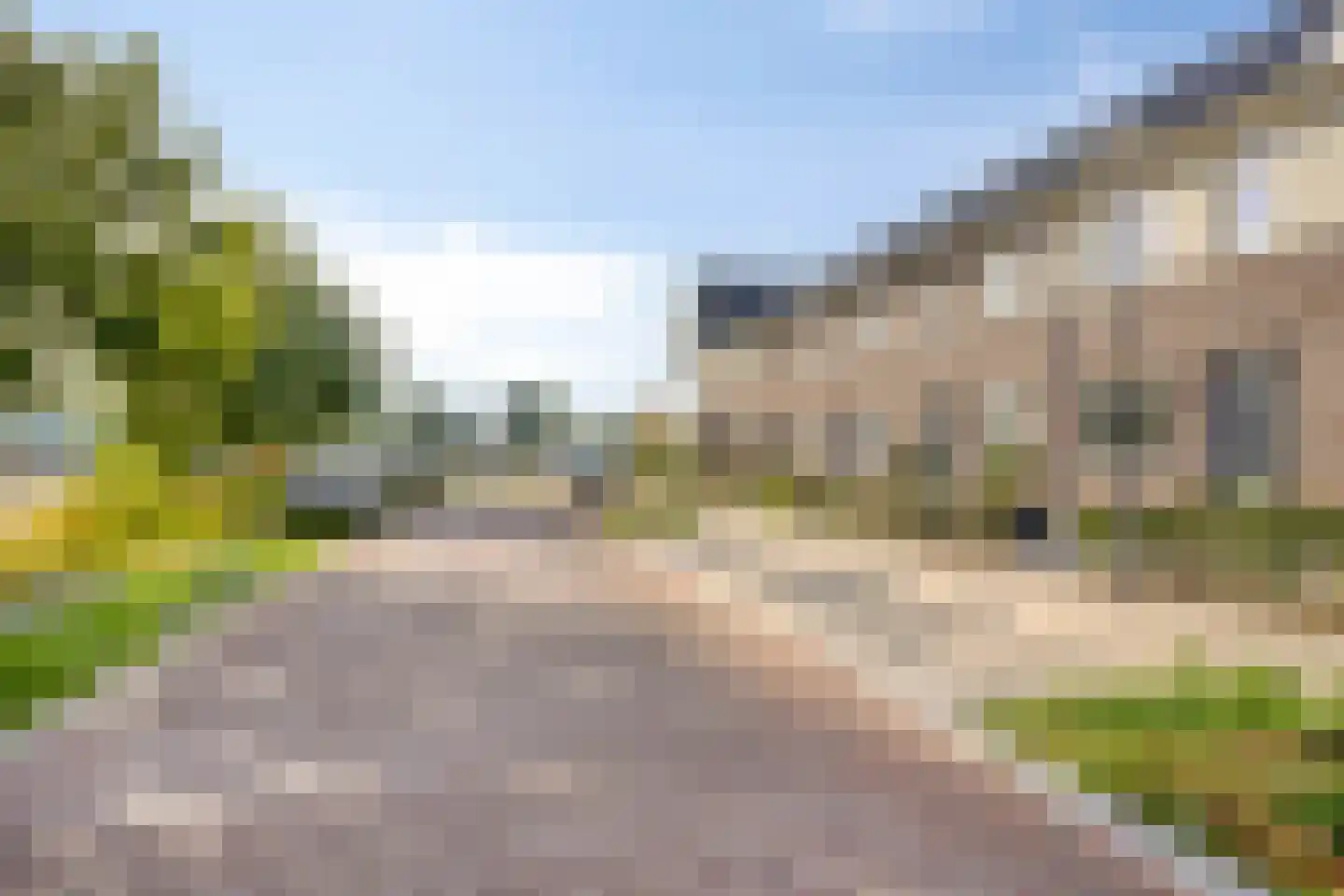 Zwartebes 14 Borne thumbnail 38