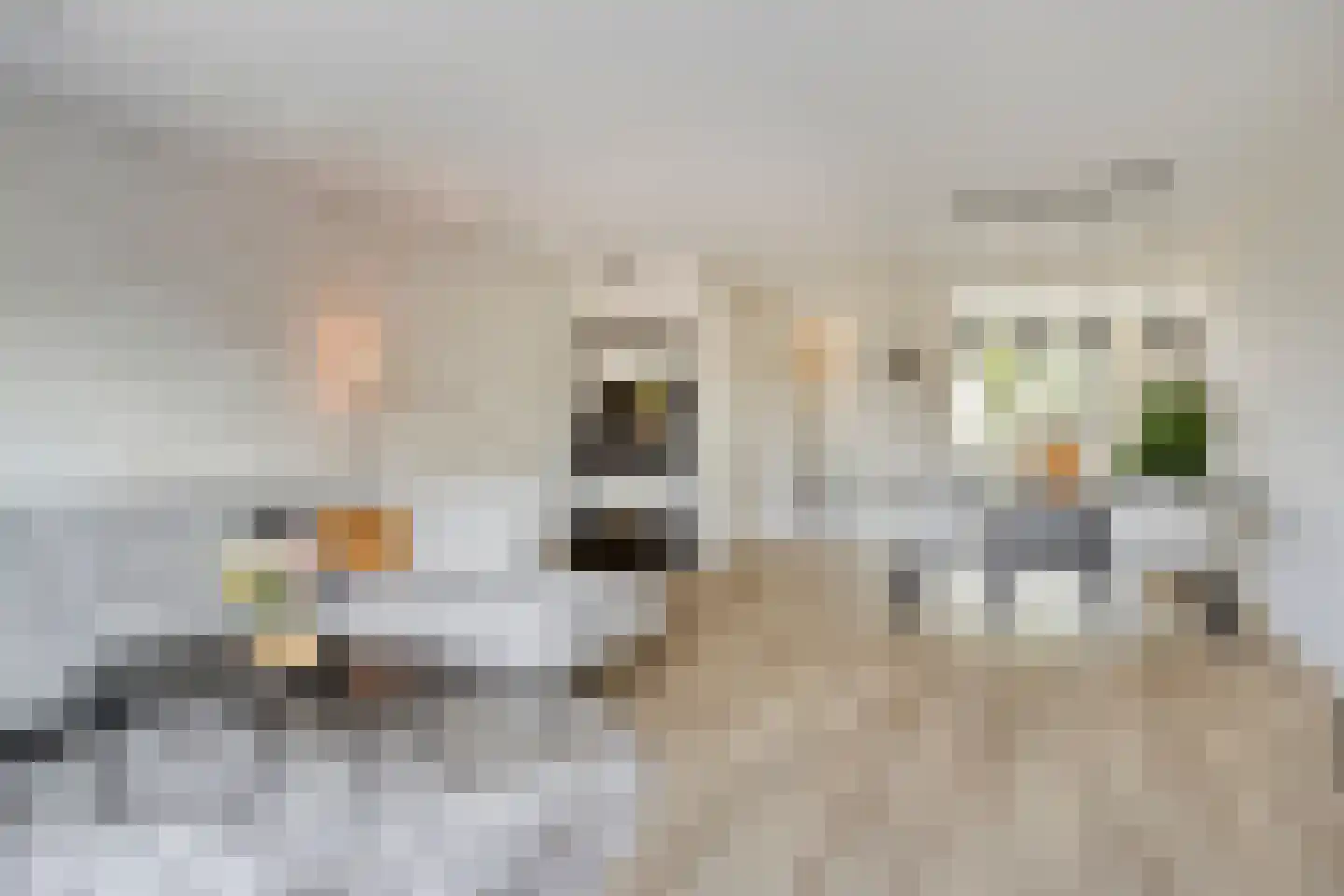 Zwartebes 14 Borne thumbnail 4