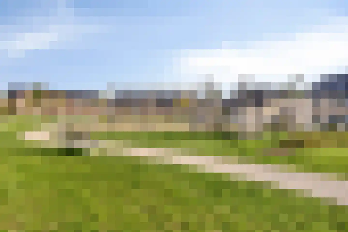 Zwartebes 14 Borne thumbnail 40