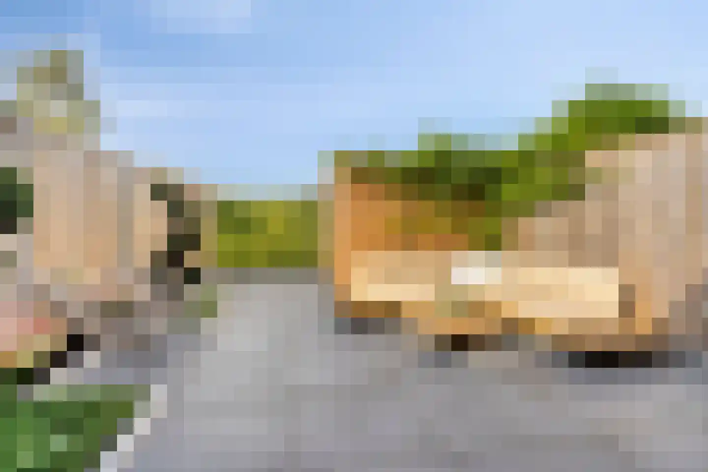 Zwartebes 14 Borne thumbnail 8