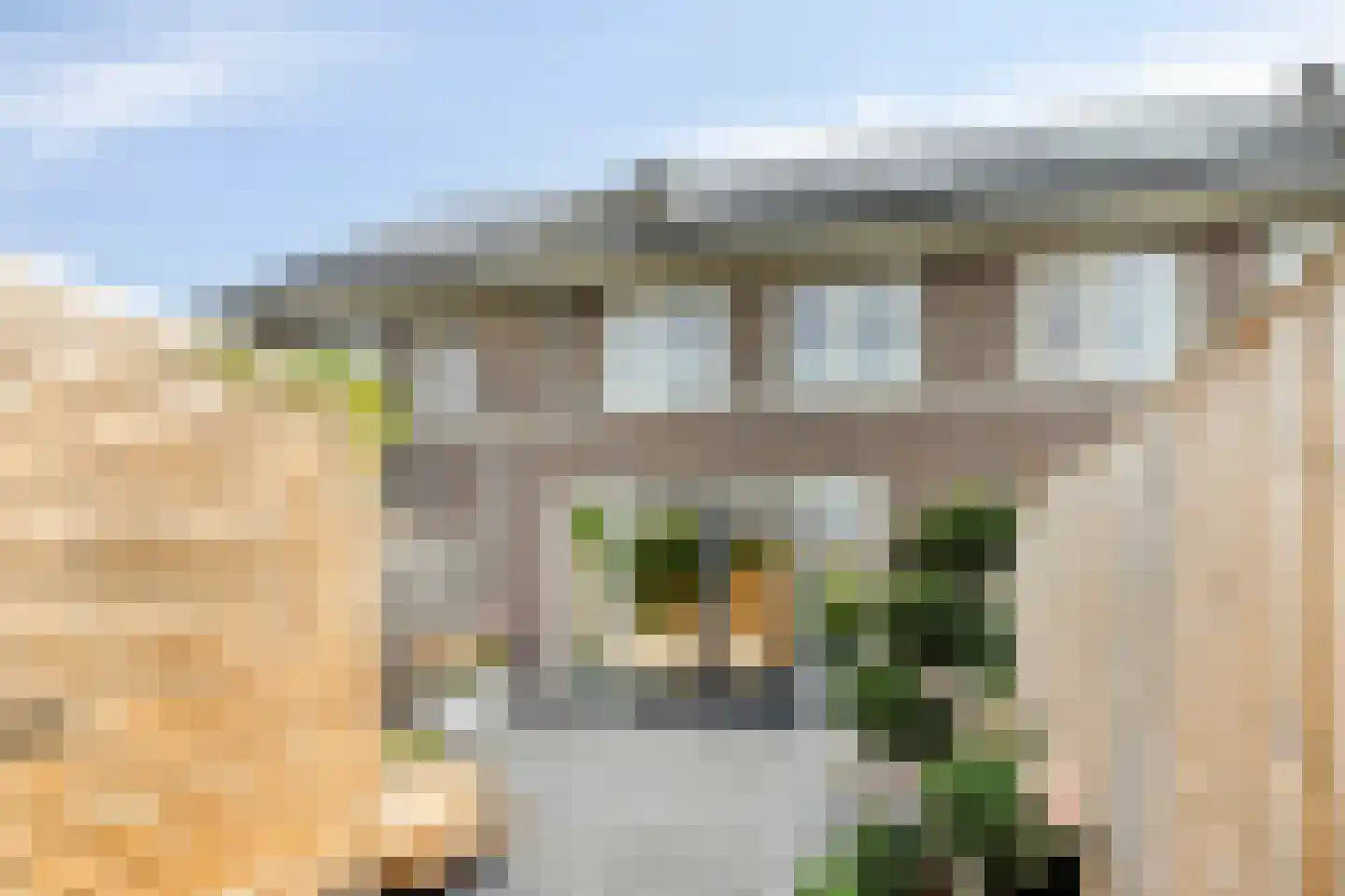 Zwartebes 14 Borne thumbnail 9