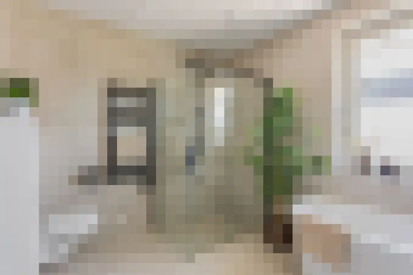 Zwartebes 7 Borne thumbnail 13