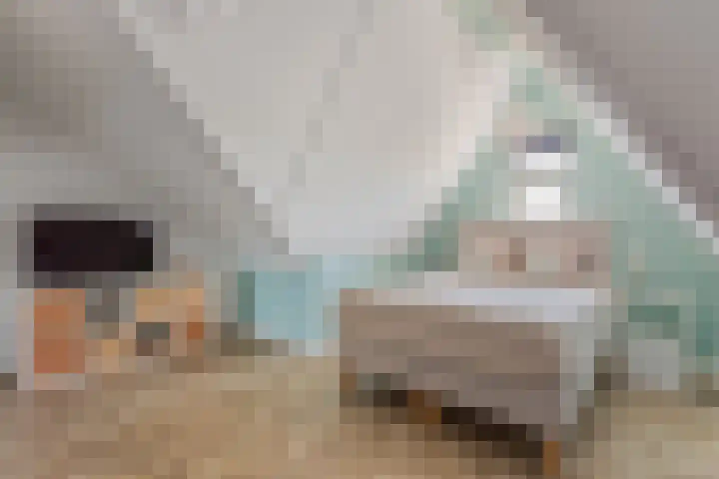 Zwartebes 7 Borne thumbnail 18