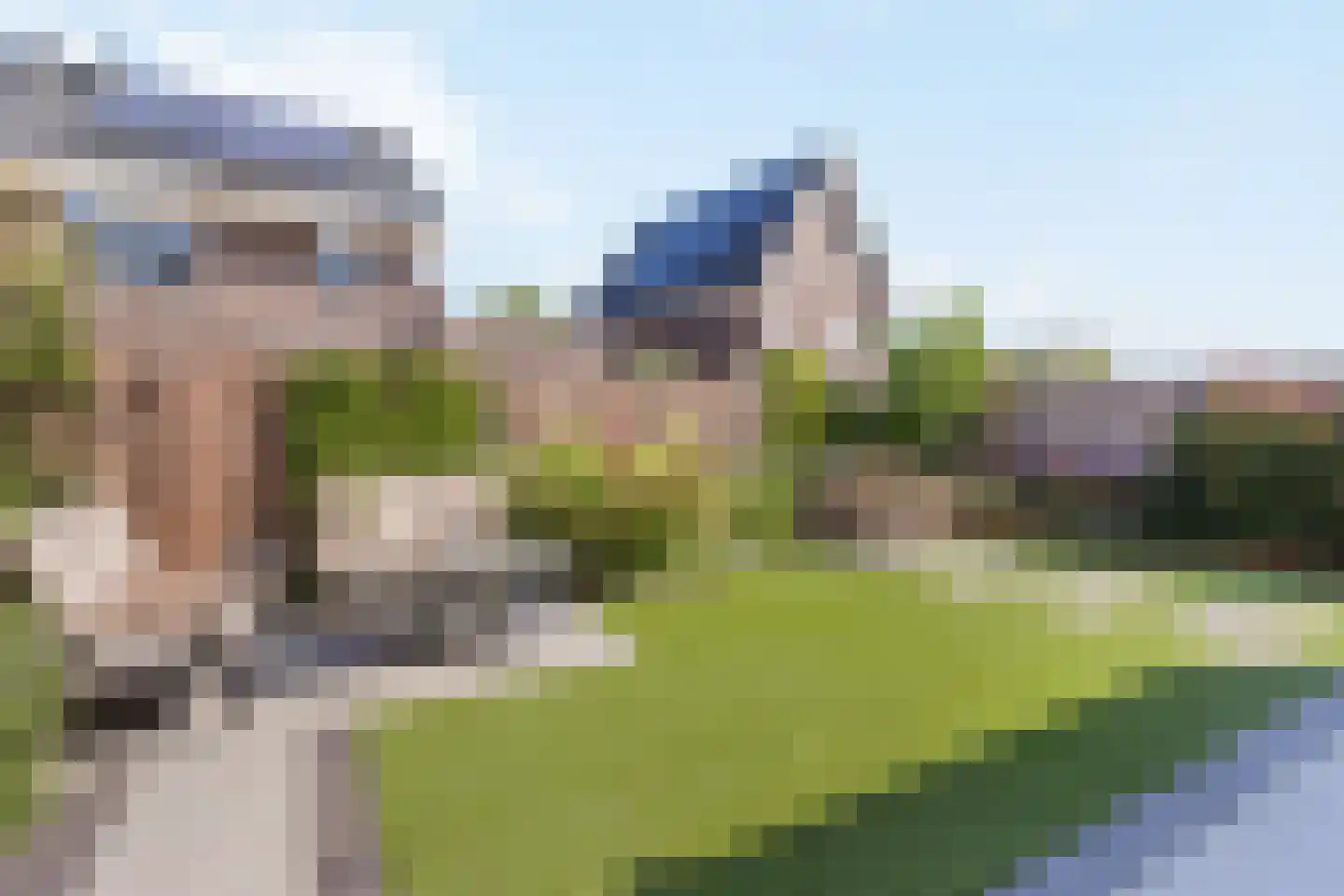 Zwartebes 7 Borne thumbnail 20