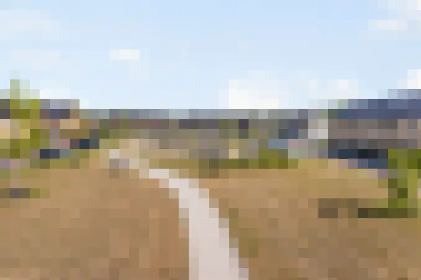 Zwartebes 7 Borne thumbnail 21