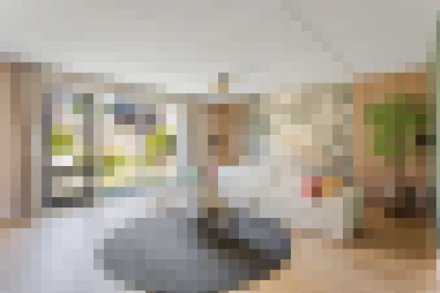 Zwartebes 7 Borne thumbnail 6