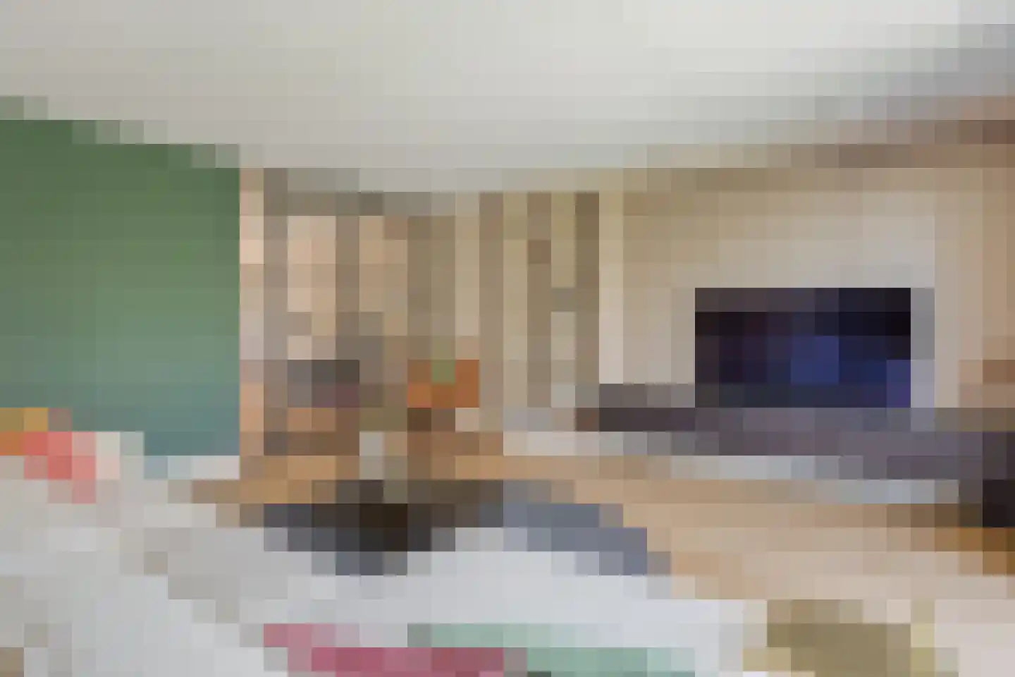 Zwartebes 7 Borne thumbnail 7
