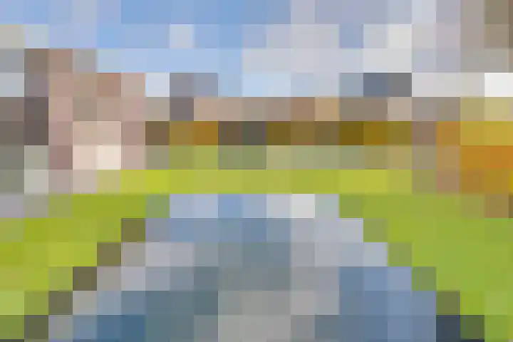 Zwartebessenstraat 16 Lewedorp thumbnail 101