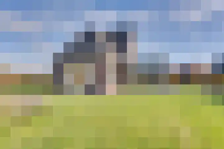 Zwartebessenstraat 16 Lewedorp thumbnail 113