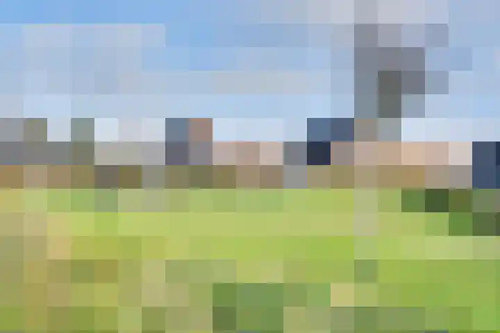 Zwartebessenstraat 16 Lewedorp thumbnail 131