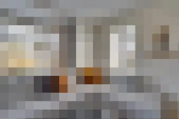 Zwartebessenstraat 16 Lewedorp thumbnail 22