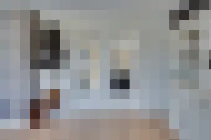 Zwartebessenstraat 16 Lewedorp thumbnail 25