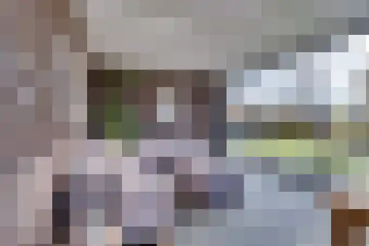 Zwartebessenstraat 16 Lewedorp thumbnail 50