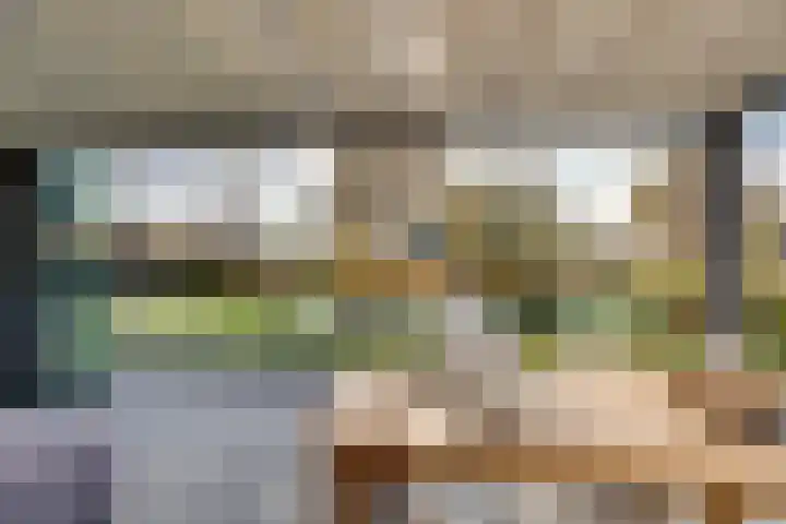 Zwartebessenstraat 16 Lewedorp thumbnail 64