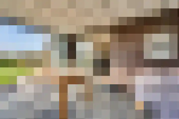 Zwartebessenstraat 16 Lewedorp thumbnail 66