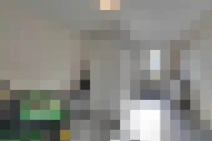 Zwartebessenstraat 16 Lewedorp thumbnail 73