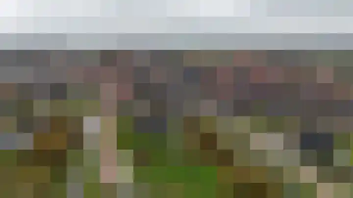 Zwartebessenstraat 16 Lewedorp thumbnail 9